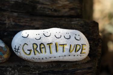 How Gratitude Practice Changes Your Brain's Negativity Bias