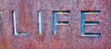 Life Coaching Certification Requirements Every Client Should Know