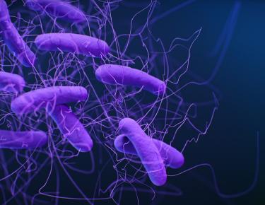 How Gut Microbiome Therapy Transforms Anxiety Treatment